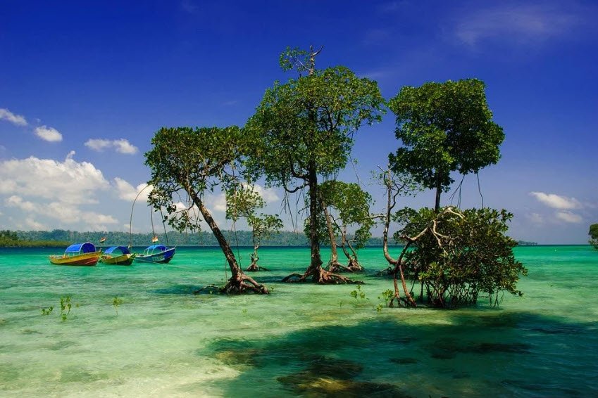 Duncan Island Wildlife Sanctuary, South Andaman, Andaman and Nicobar Islands - Vushii.com